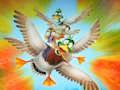 Játék Migrációs Flappy Duck  online