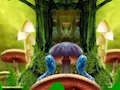 Játék Fantasy páva család menekülés online