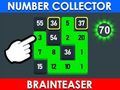 Játék Számgyűjtő: Brainteaser  online