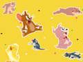 Játék A Tom és Jerry Show Találd meg!  online