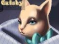 Játék A Nagy Catsby  online