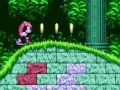 Játék Hatalmas és Ray a Sonic 2 -ben online