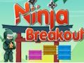 Játék Ninja kitörés online