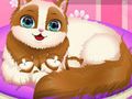 Játék Aranyos Kitty terhes  online