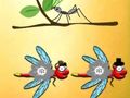 Játék Keresse meg Dragonfly Coopert  online