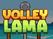 Játék Láma röplabda online
