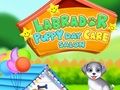 Játék Labrador Kölyök Napközi Szalon  online