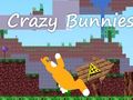Játék Őrült nyuszik  online