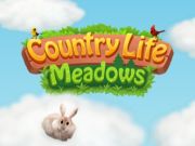 Játék Country Life Meadows online