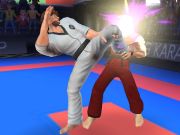 Játék Karate vadászgép online Játék Karate vadászgép online