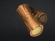 Játék Stonecraft  online
