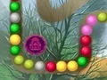Játék Lost Island online