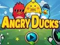 Játék Angry Ducks online