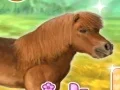 Játék My Dear Pony online