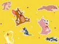 Játék The Tom and Jerry Show Find it! online