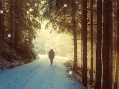 Játék Winter Hidden Stars online