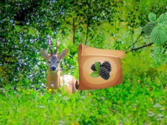 Játék Return To Alsunga Forest online