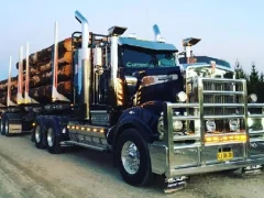 Játék American City Truck Transporting online