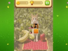 Játék Farm Cat Memory Match online