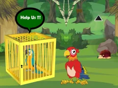 Játék Release Trapped Macaw Buddy online