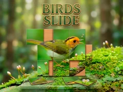 Játék Birds Slide online