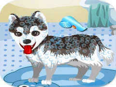 Játék My Cute Dog Bathing online