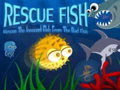 Játék Rescue Fish online