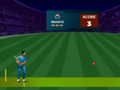 Játék Cricket Night 2 online