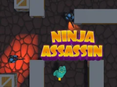 Játék Ninja Assassin online