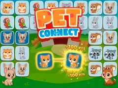 Játék Pet connect online