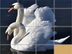 Játék Animals Slide Puzzle online