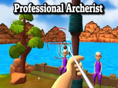 Játék Professional Archerist online