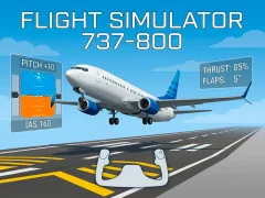 Játék Flight Simulator 737-800 online