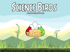 Játék Science Birds online