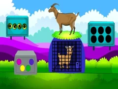 Játék Lamb Escape online