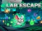 Játék Lab Escape online