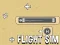 Játék Flight Sim online