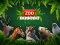 Játék ZOO Trivia online