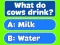Játék Trivia! Best Family Quiz online