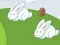 Játék Crazy Eggs online