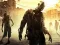 Játék Stupid Zombies Hunt online