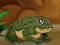 Játék Frogs Matching online