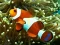 Játék Underwater Hidden Numbers online
