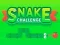 Játék Snake Challenge online