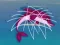 Játék Dolphin Rescue online