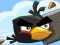 Játék Crazy Birds online