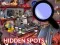 Játék Hidden Spots In The Room online