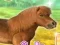 Játék My Dear Pony online