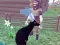 Játék Deer Simulator 3D online