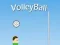 Játék VolleyBall online